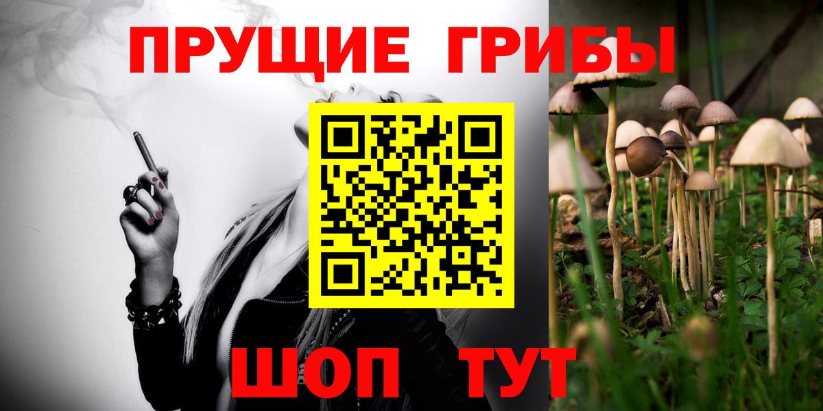 Псилоцибиновые грибы GOLDEN TEACHER Шатура